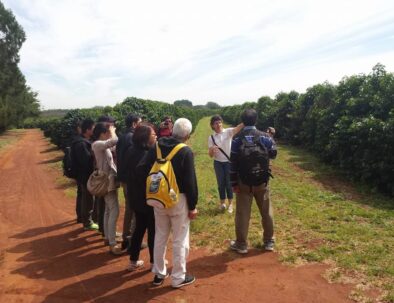 Coffee Farm Sao Paulo Tour