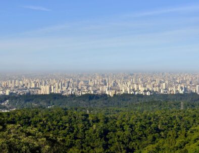 Eco Tour Sao Paulo
