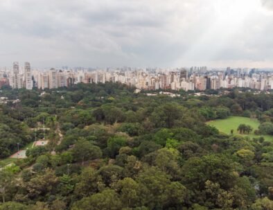 Sao Paulo Tour Ibirapuera park aerial view