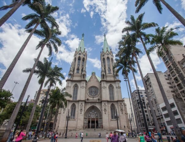 São Paulo City: 5-Hour Private Tour