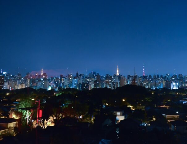 Sao Paulo Night Tour City Overview