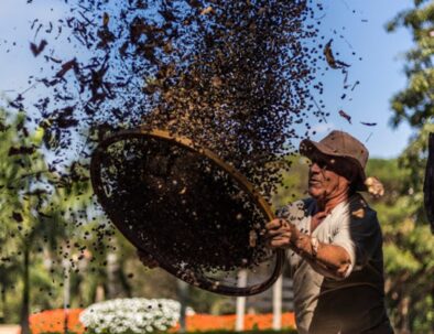 Tour to Coffee Farm Plantation