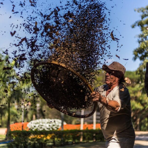 Tour to Coffee Farm Plantation